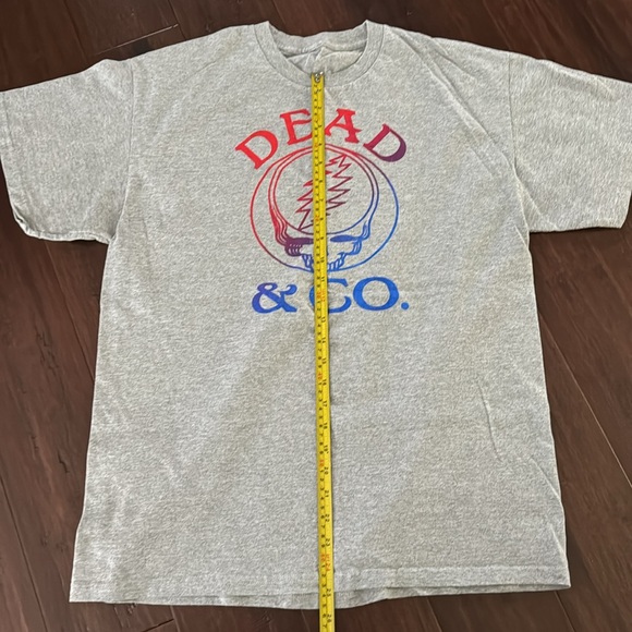 GRATEFUL DEAD & COMPANY CHICAGO WRIGLEY FIELD 2019 - Picture 4 of 5